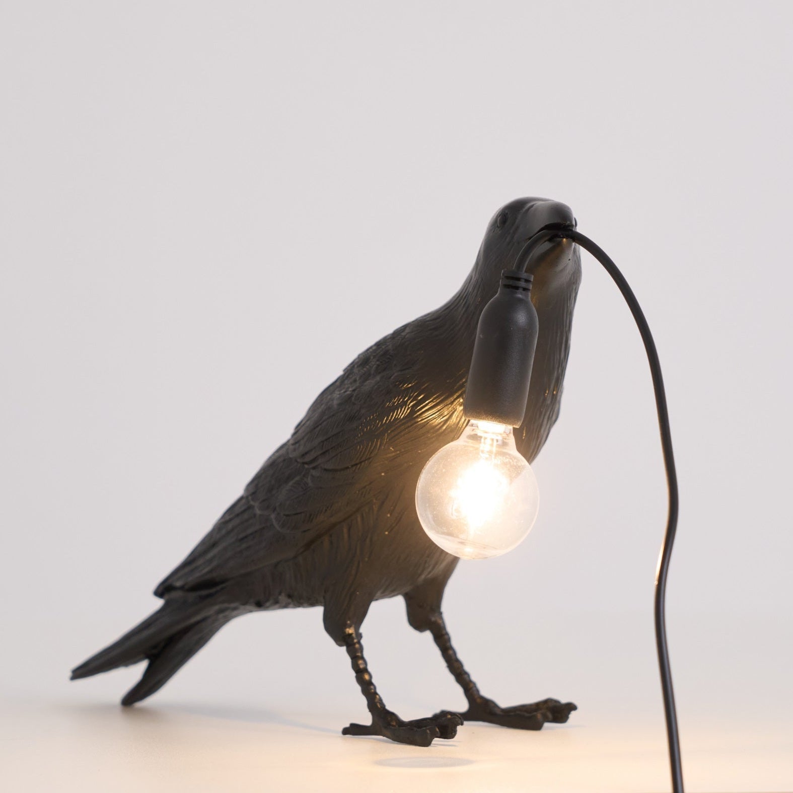 raven-resin-table-lamp-anzaz--17