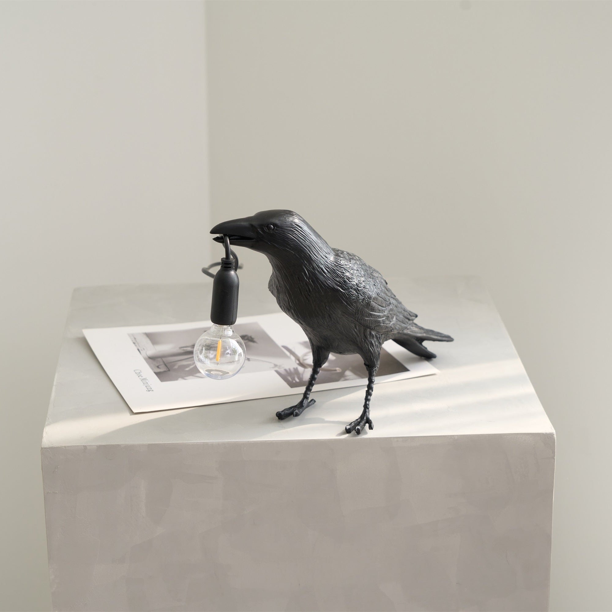 raven-resin-table-lamp-anzaz--41