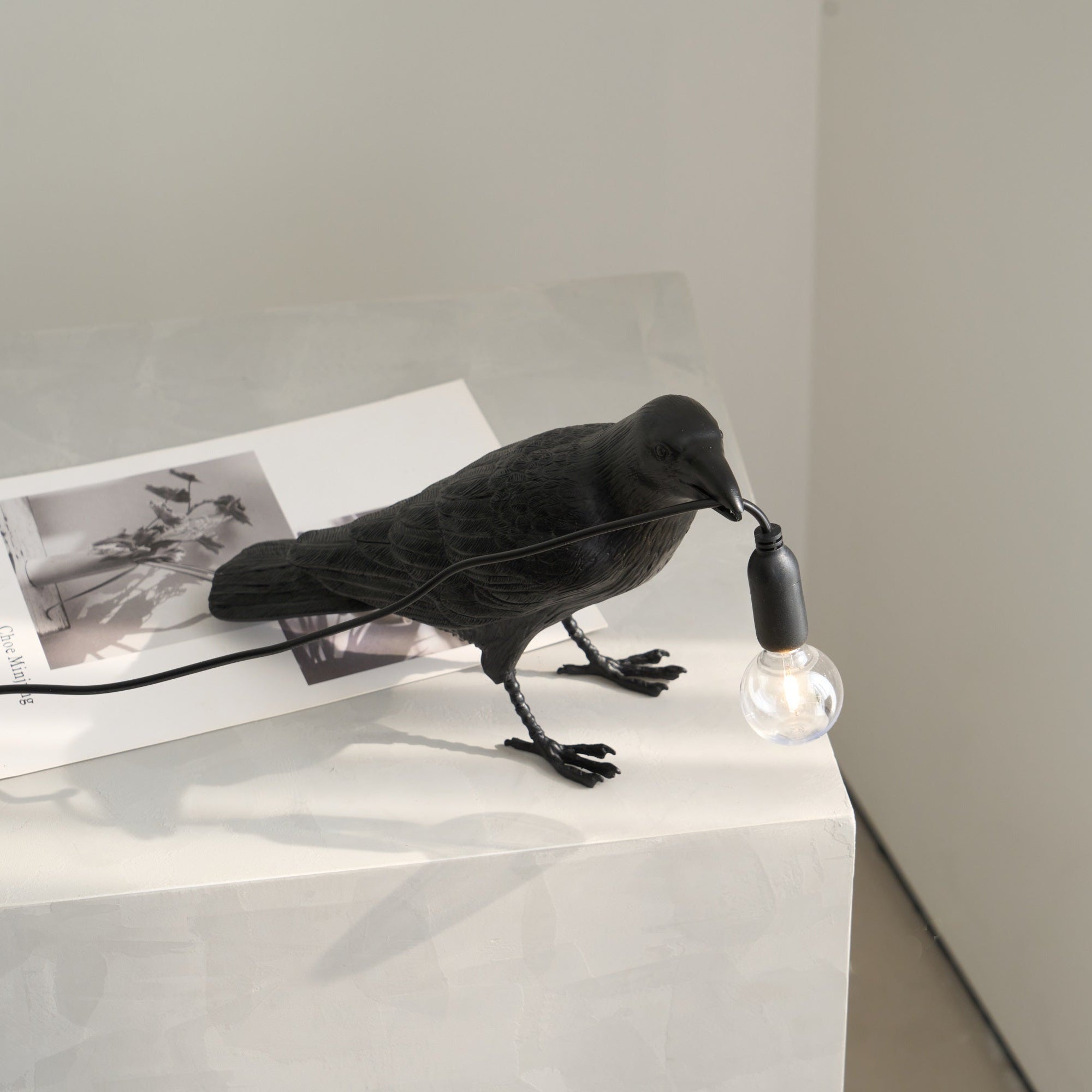 raven-resin-table-lamp-anzaz-Black-9