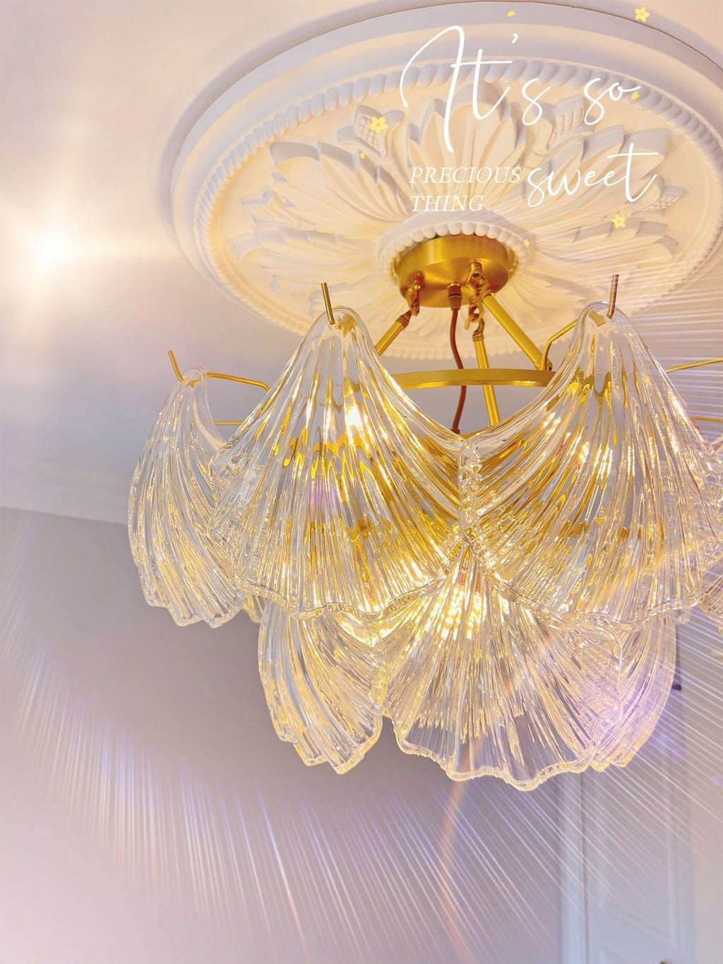ribbed-shell-ceiling-light-anzaz--34