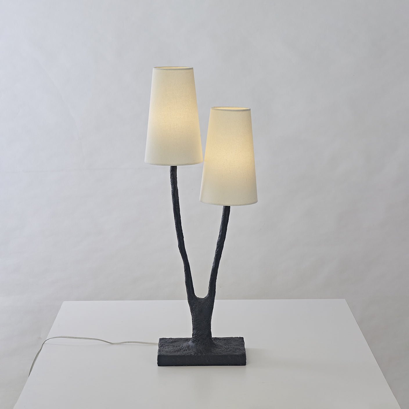roots-table-lamp-anzaz--11