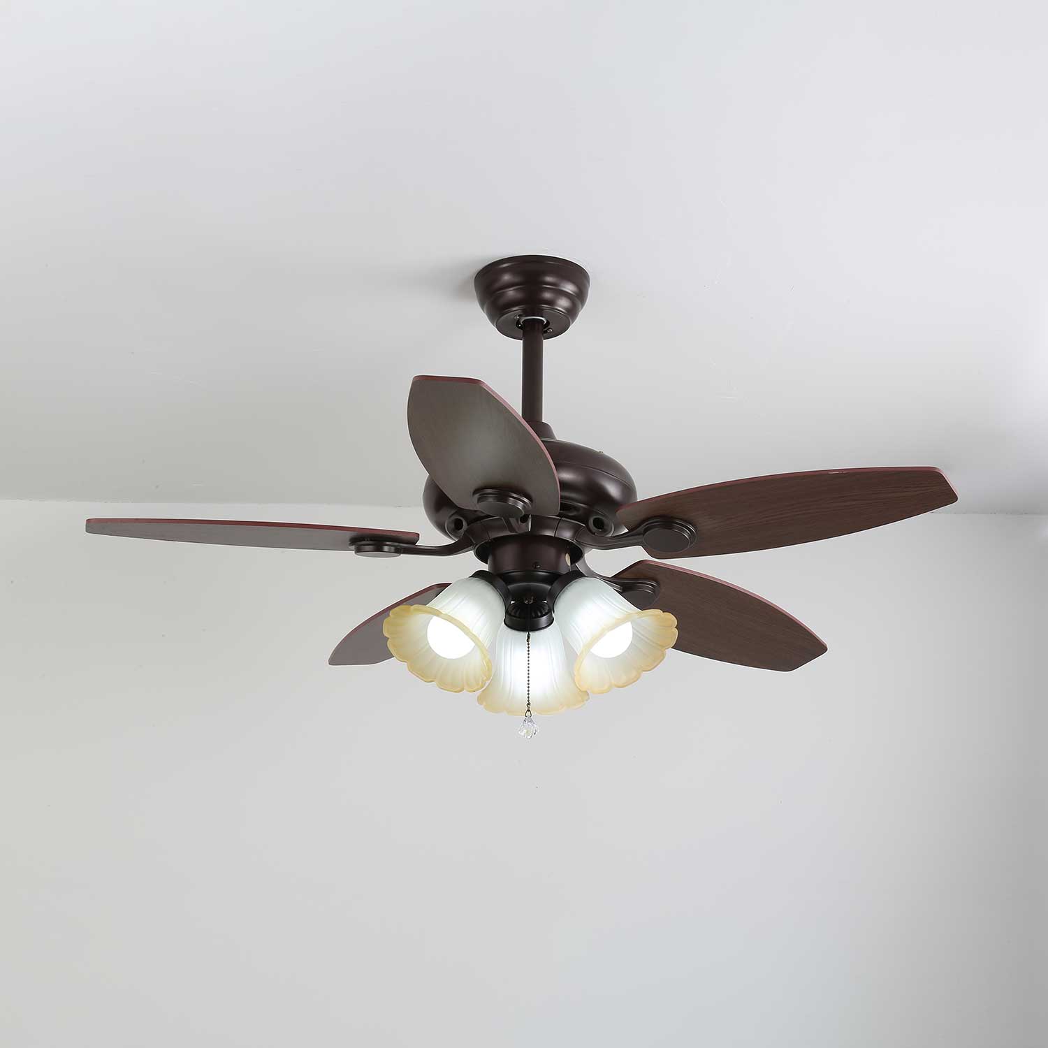 roselore-bloom-ceiling-fan-light-anzaz--7