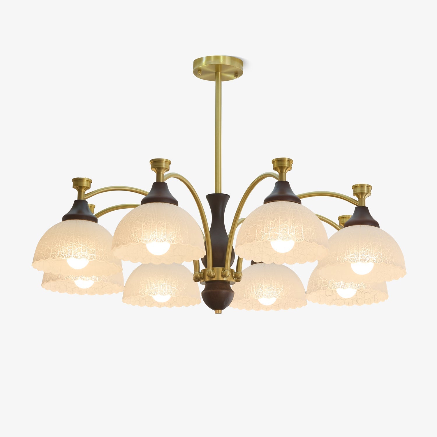 rosetta-chandelier-anzaz--28