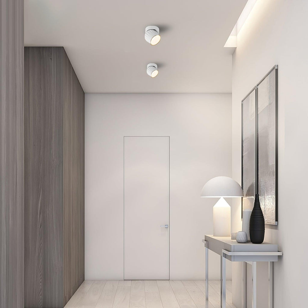 rotatable-spotlight-anzaz--10