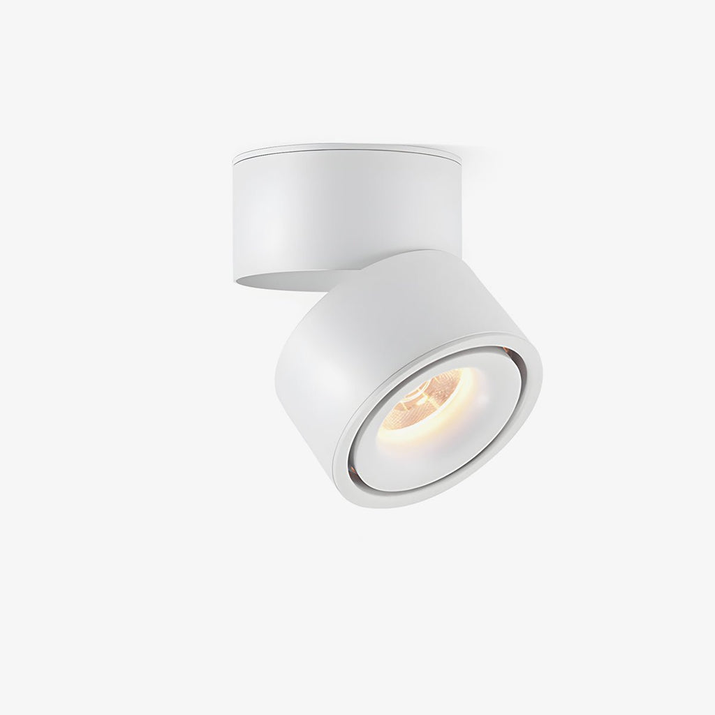 rotatable-spotlight-ceiling-light-anzaz-Black-1