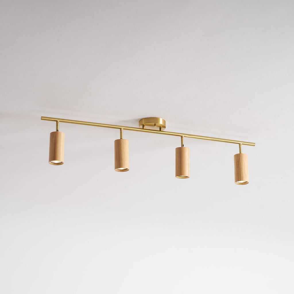 rowan-track-light-anzaz--98