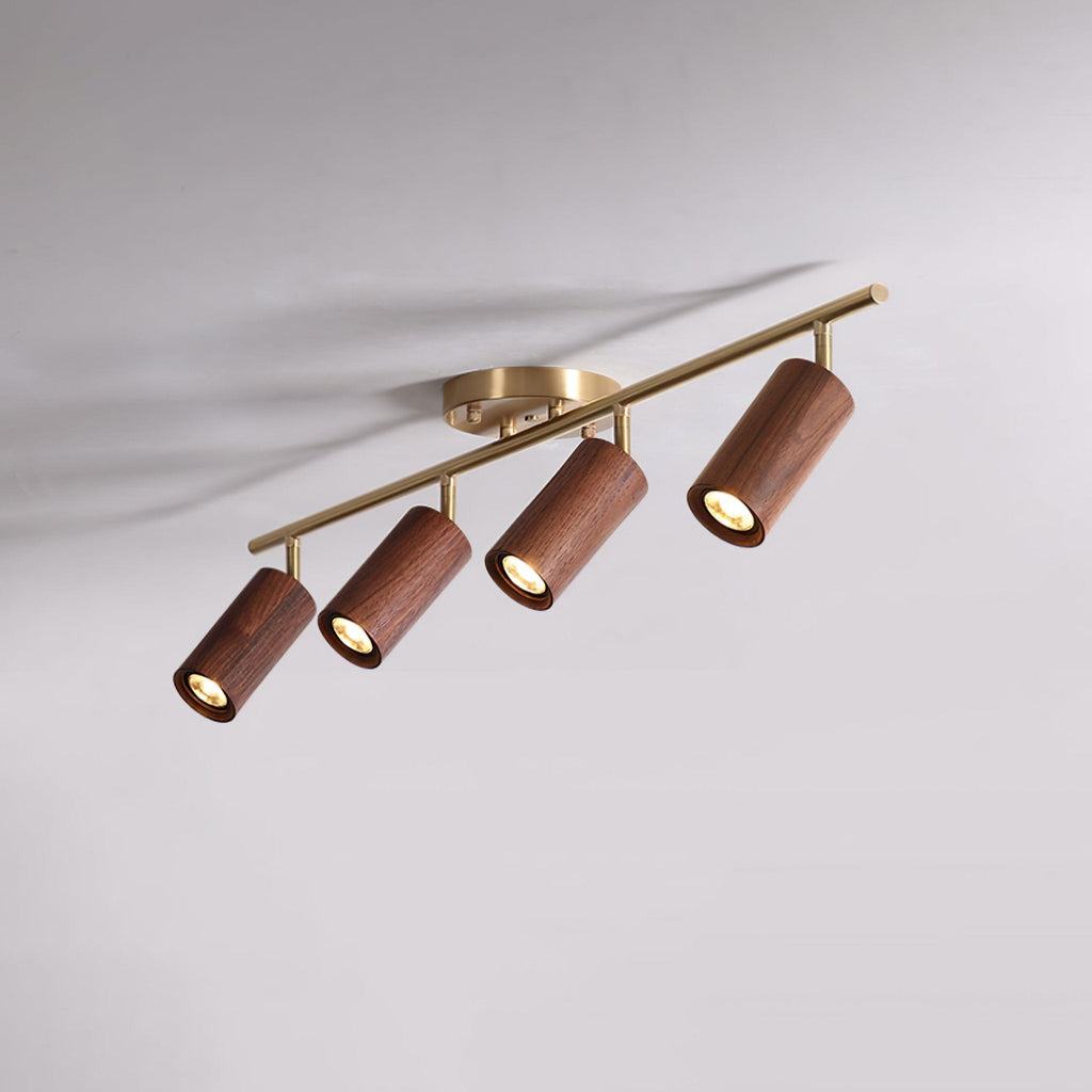 rowan-track-light-anzaz--10