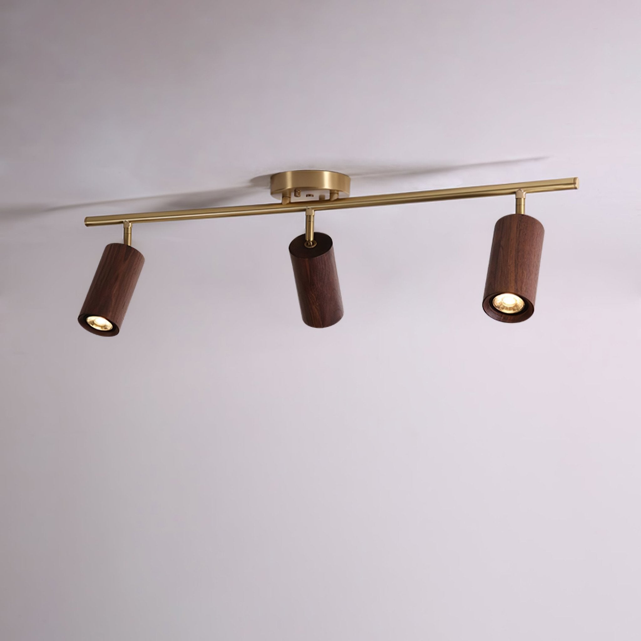 rowan-track-light-anzaz--9