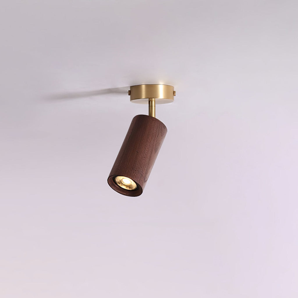 rowan-track-light-anzaz-Wood color & Gold-8