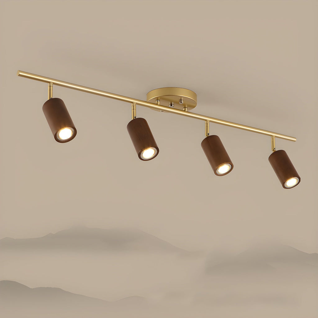 rowan-track-light-anzaz--11