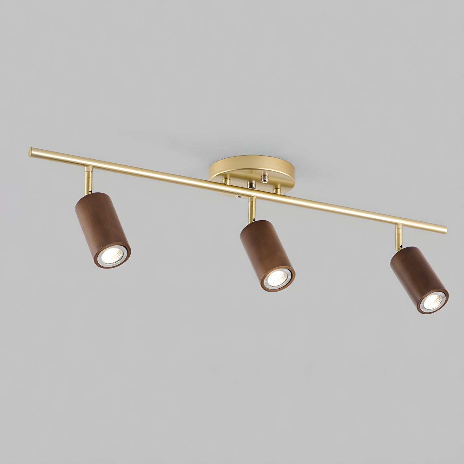 rowan-track-light-anzaz--14