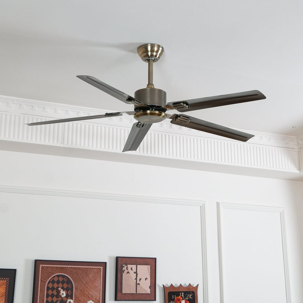 rozzen-ceiling-fan-anzaz-Stainless steel-2