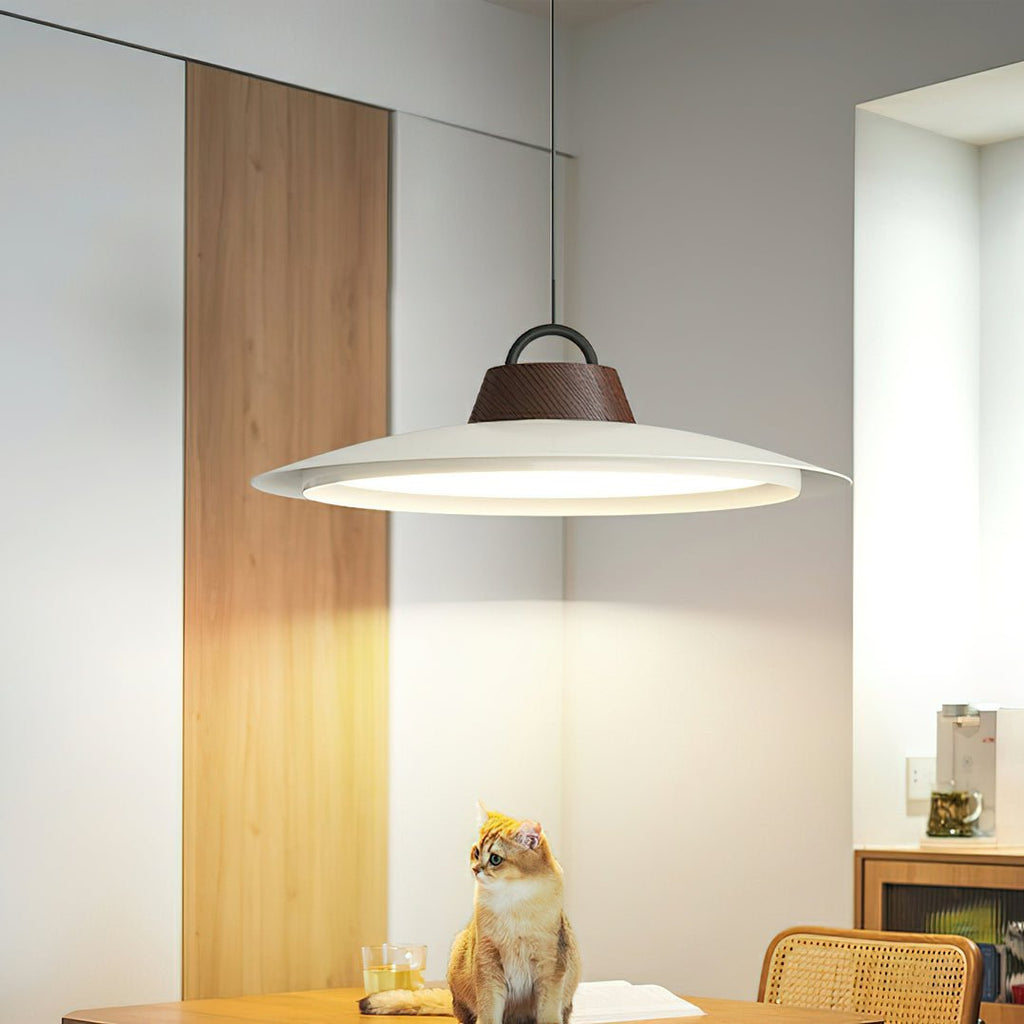 ruile-pendant-lamp-anzaz--5
