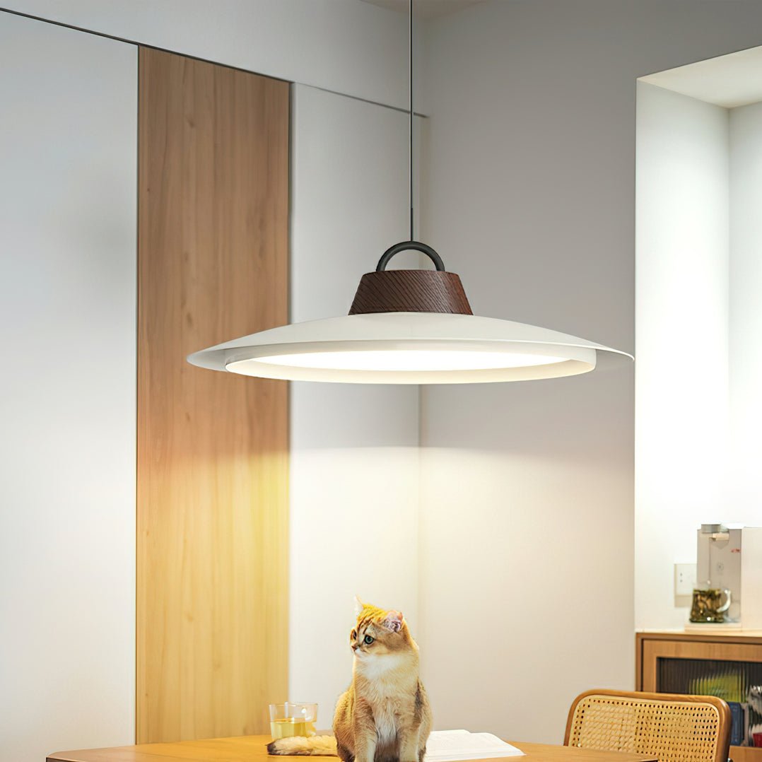 ruile-pendant-lamp-anzaz--5