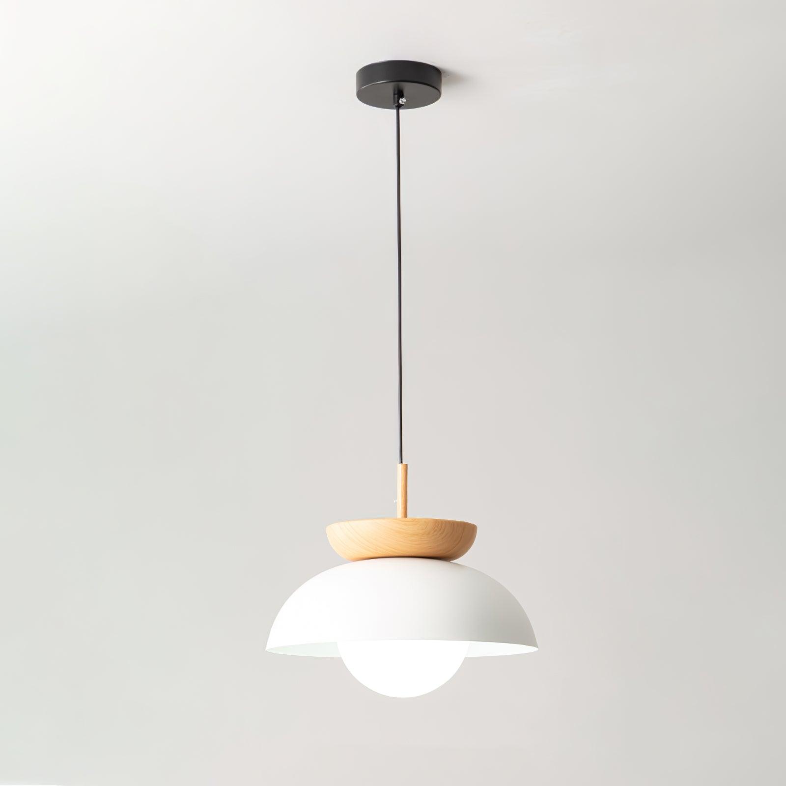 savie-pendant-lamp-anzaz--28