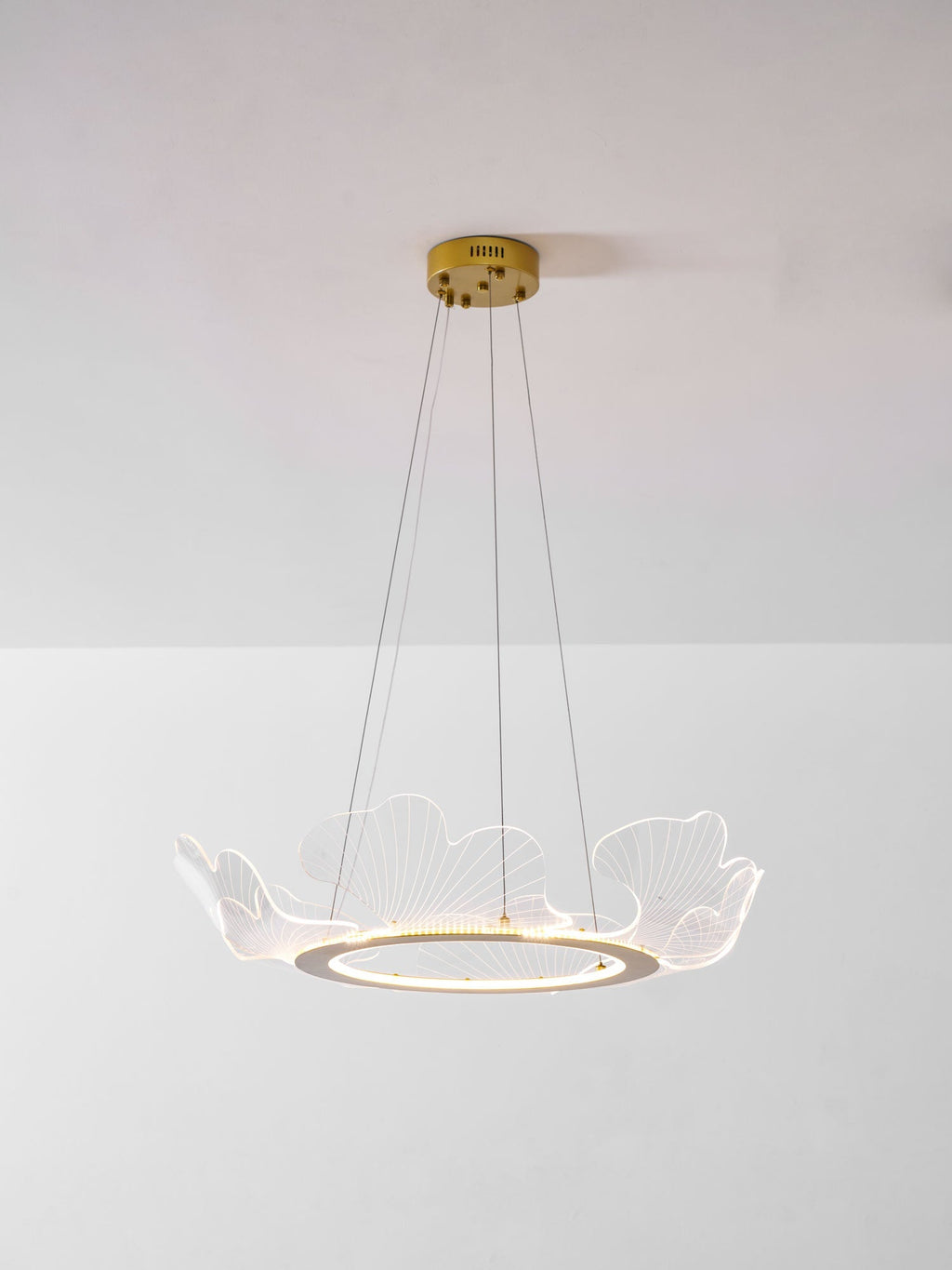sea-chandelier-anzaz--30