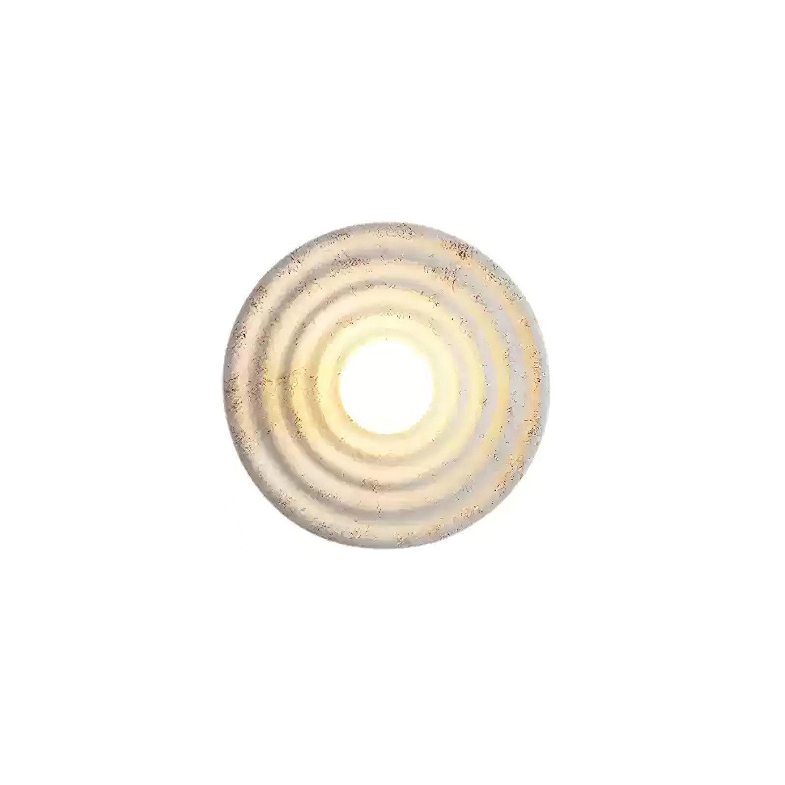 seashell-resin-wall-lamp-anzaz--19