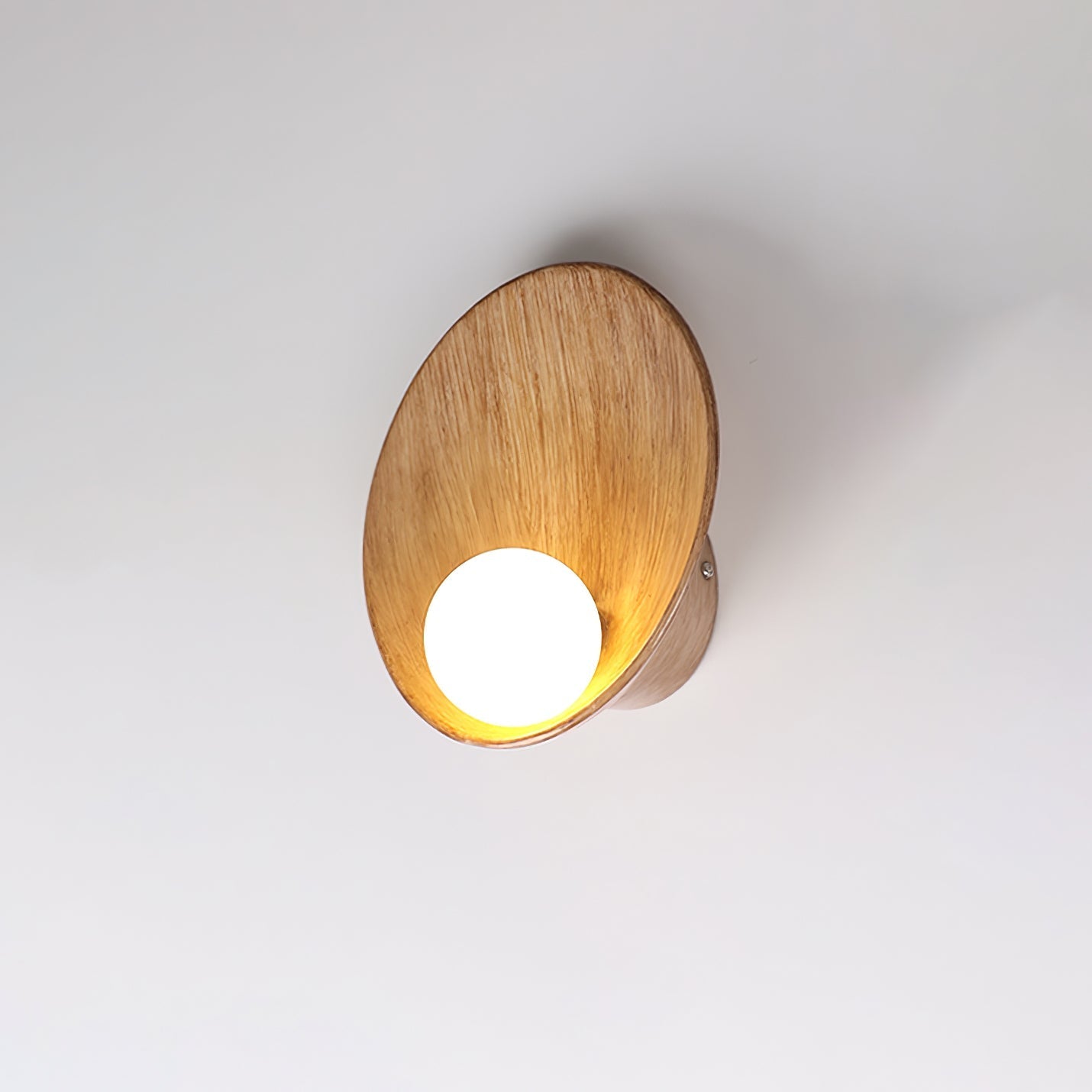 seashell-resin-wall-lamp-anzaz--17