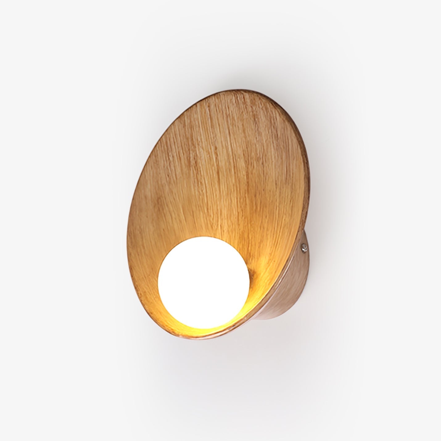 seashell-resin-wall-lamp-anzaz--1