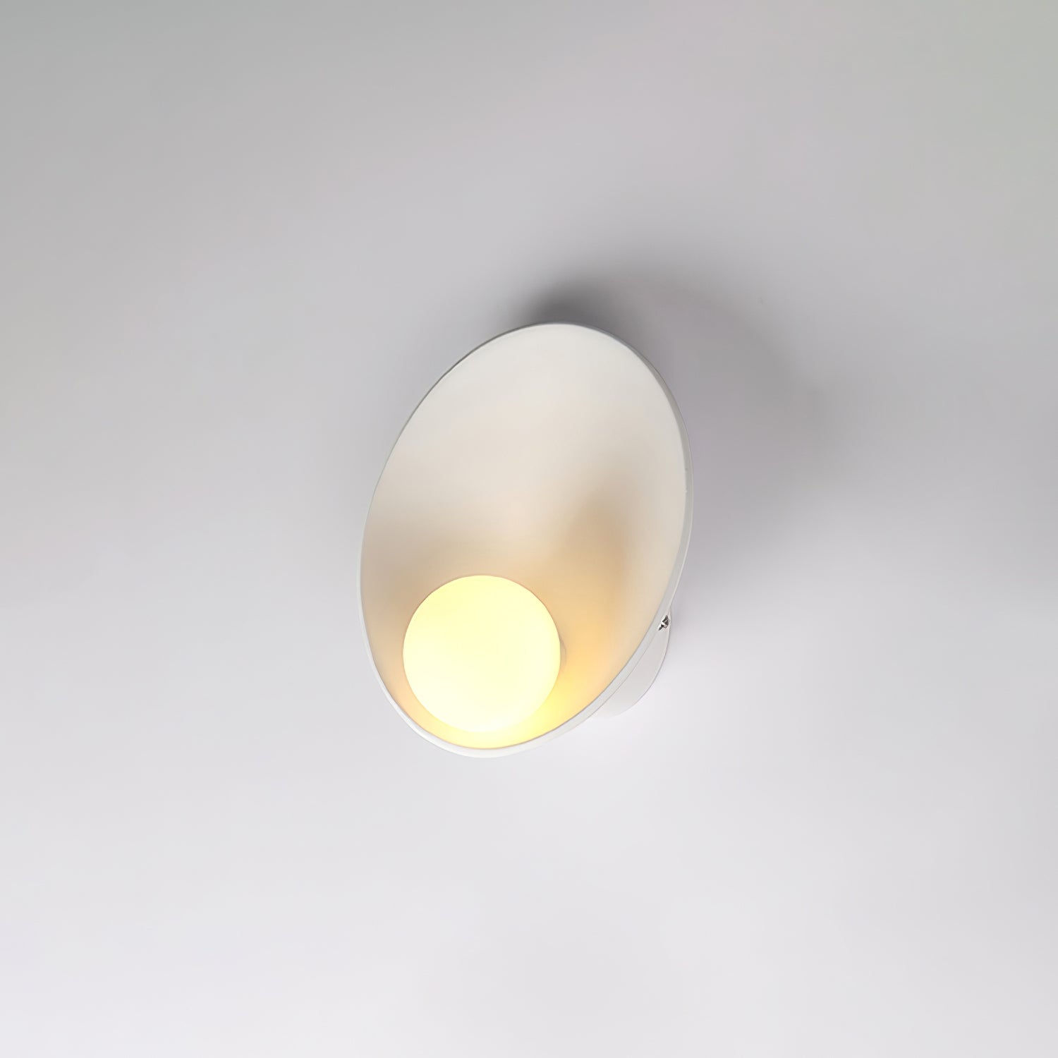 seashell-resin-wall-lamp-anzaz--18