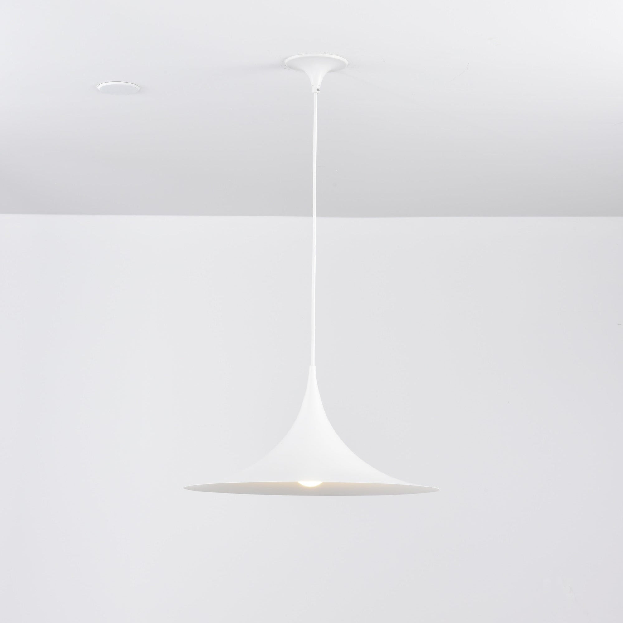 semi-pendant-light-anzaz--112