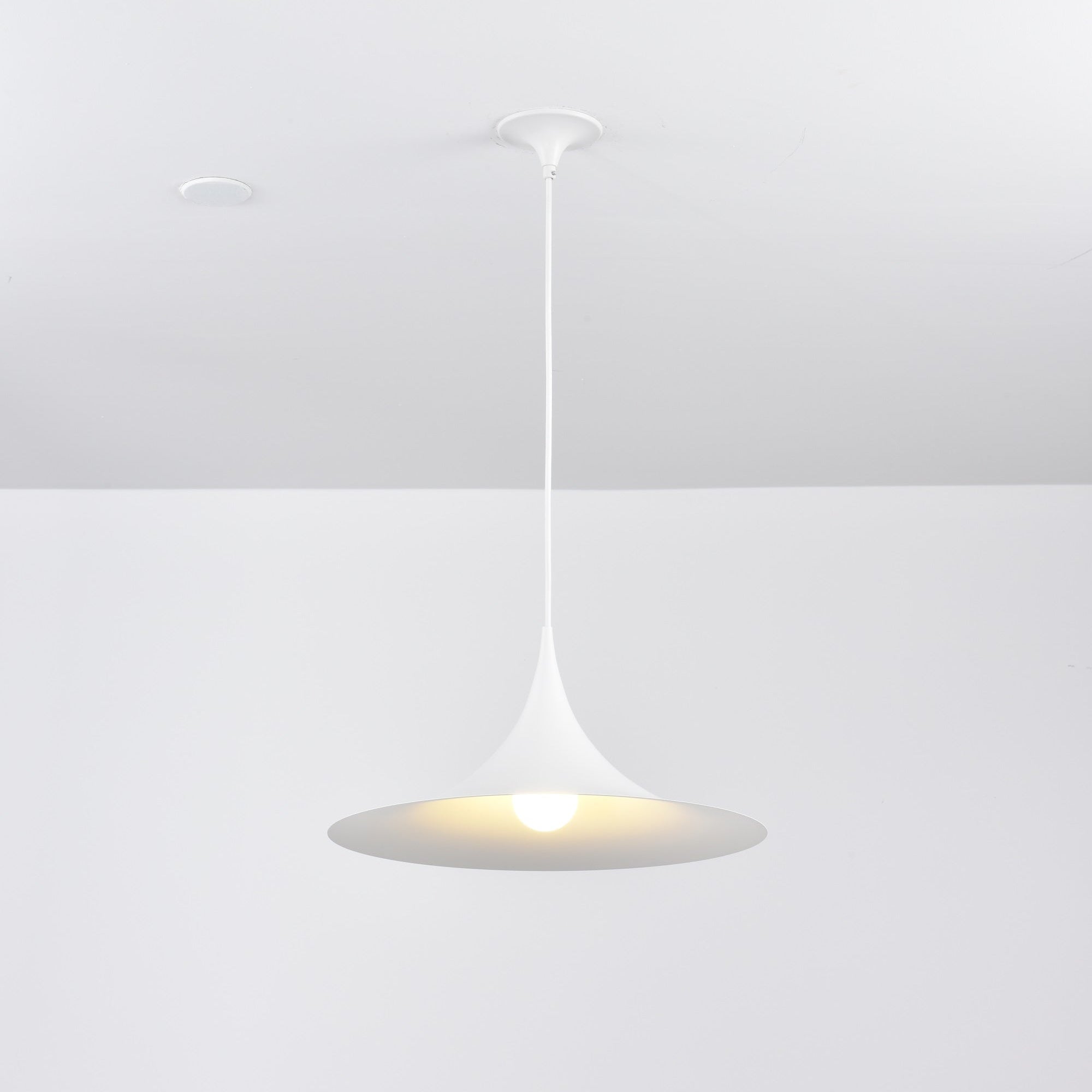 semi-pendant-light-anzaz--113