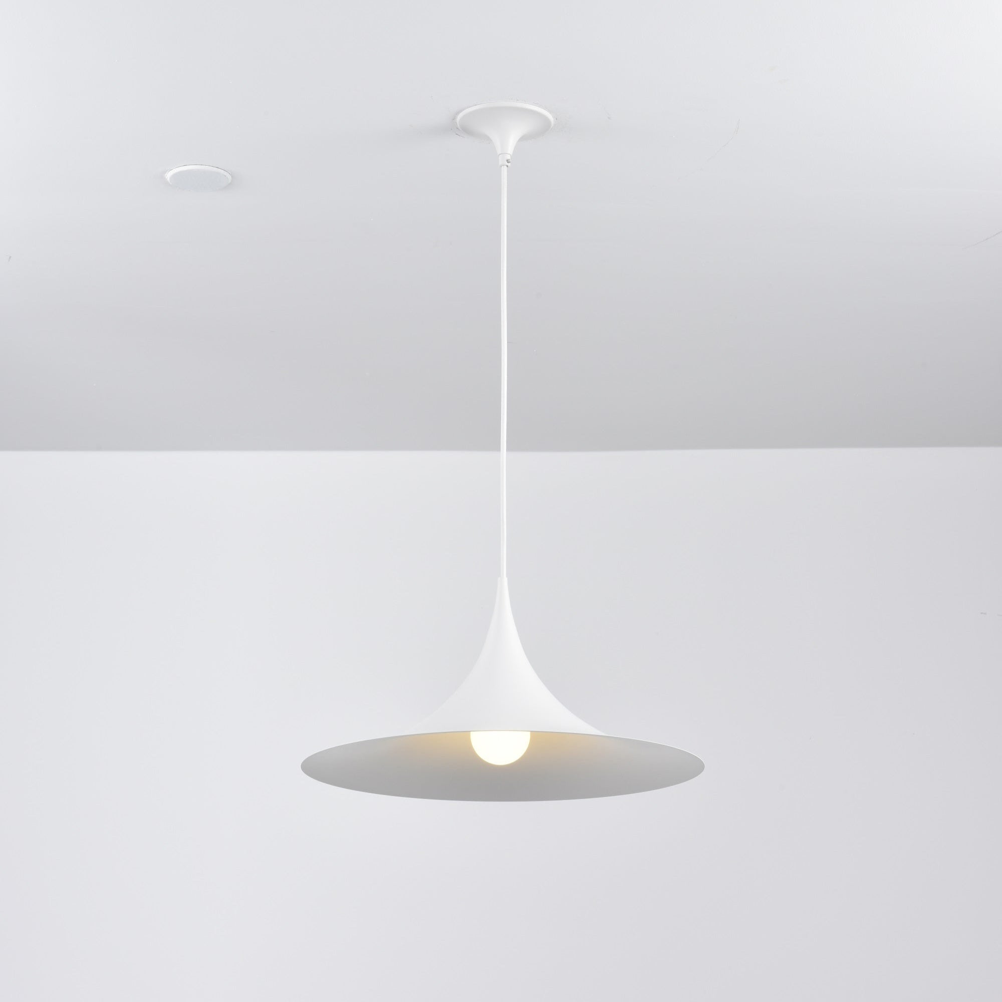 semi-pendant-light-anzaz--114