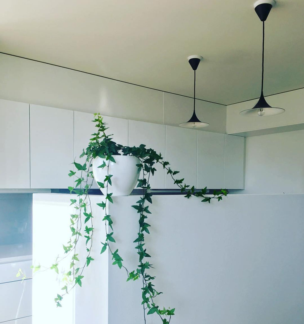semi-pendant-light-anzaz--55