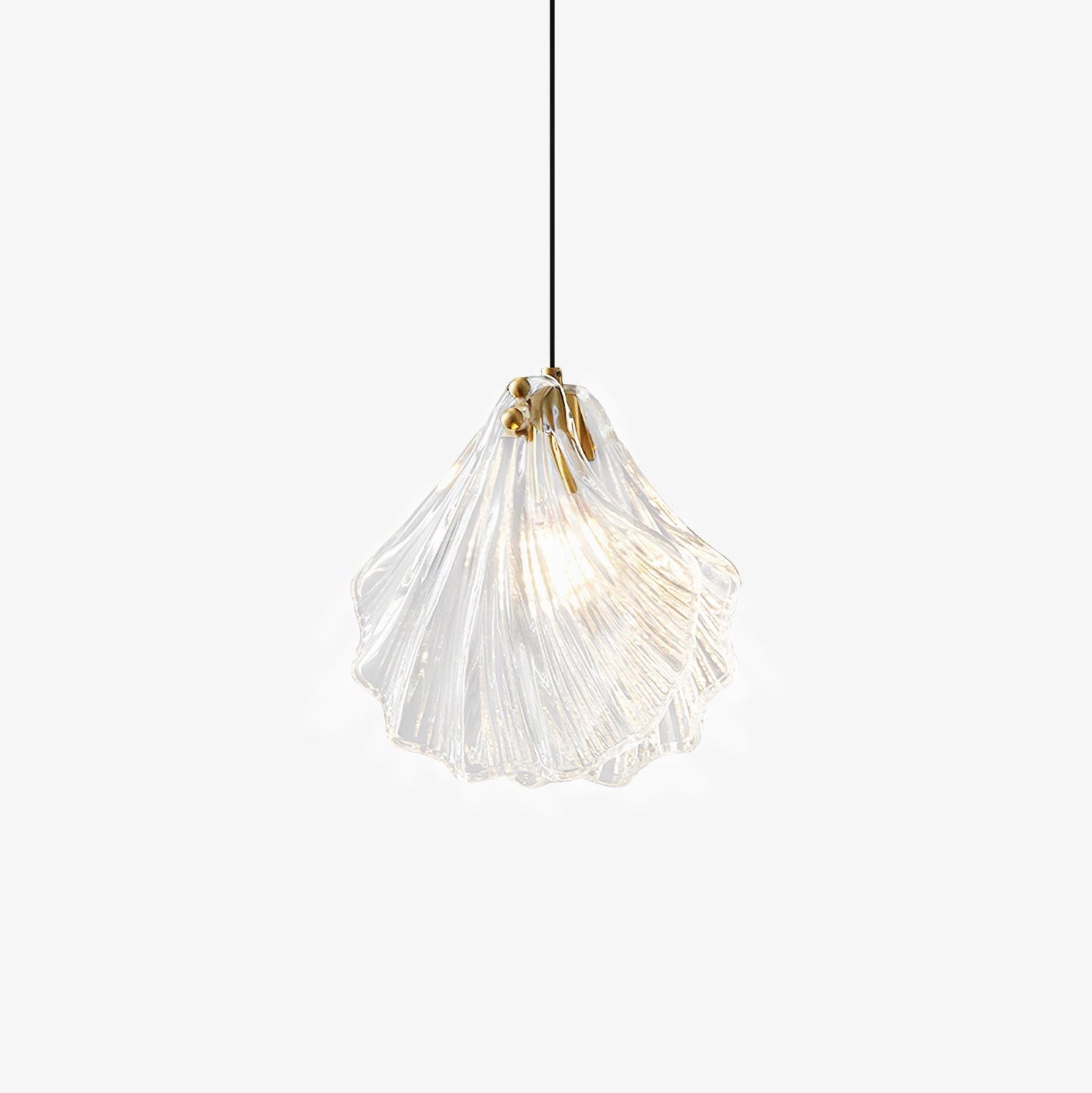 shell-mini-pendant-swag-light-anzaz--42