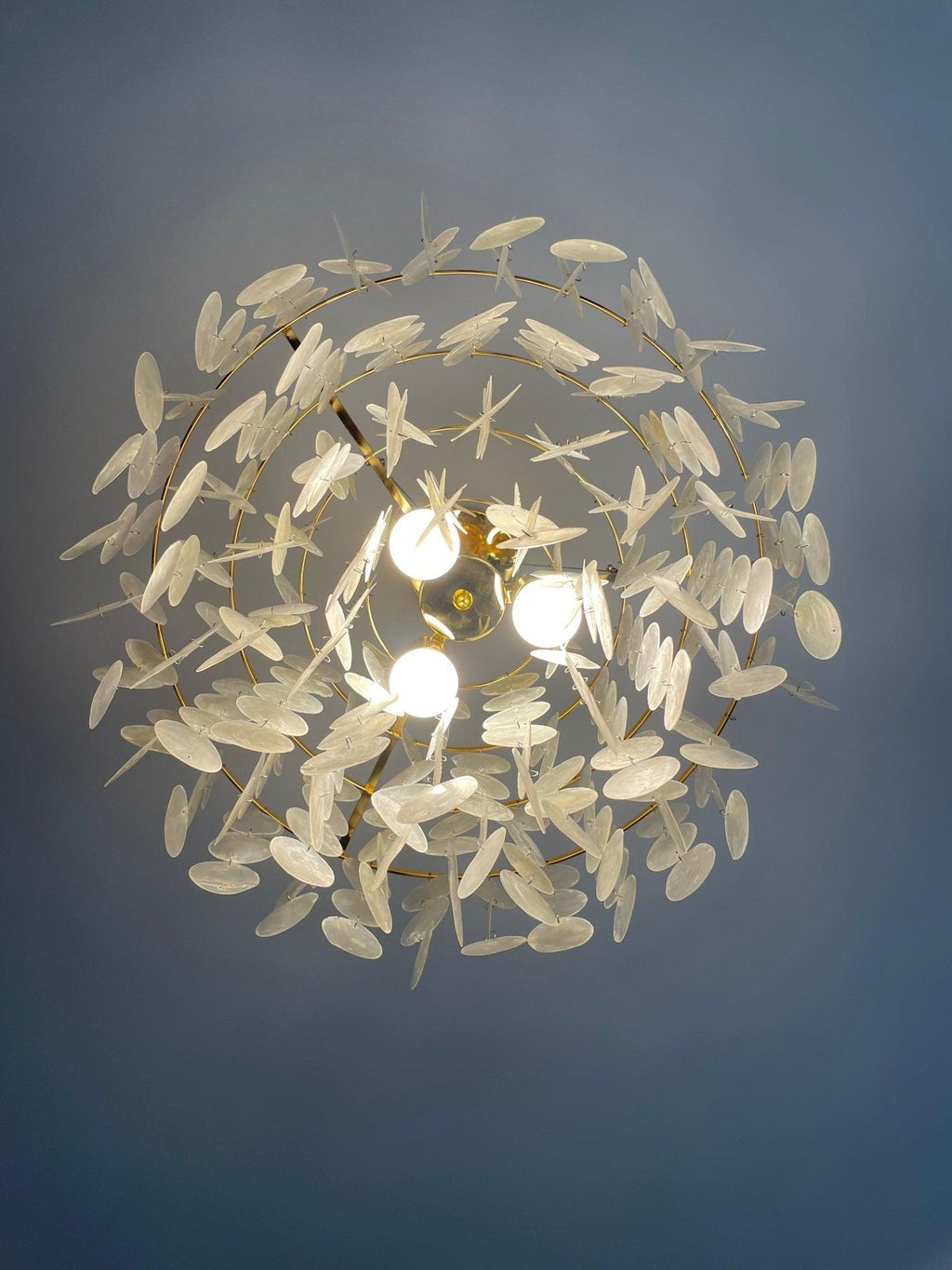 shell-wind-chime-chandelier-anzaz--35