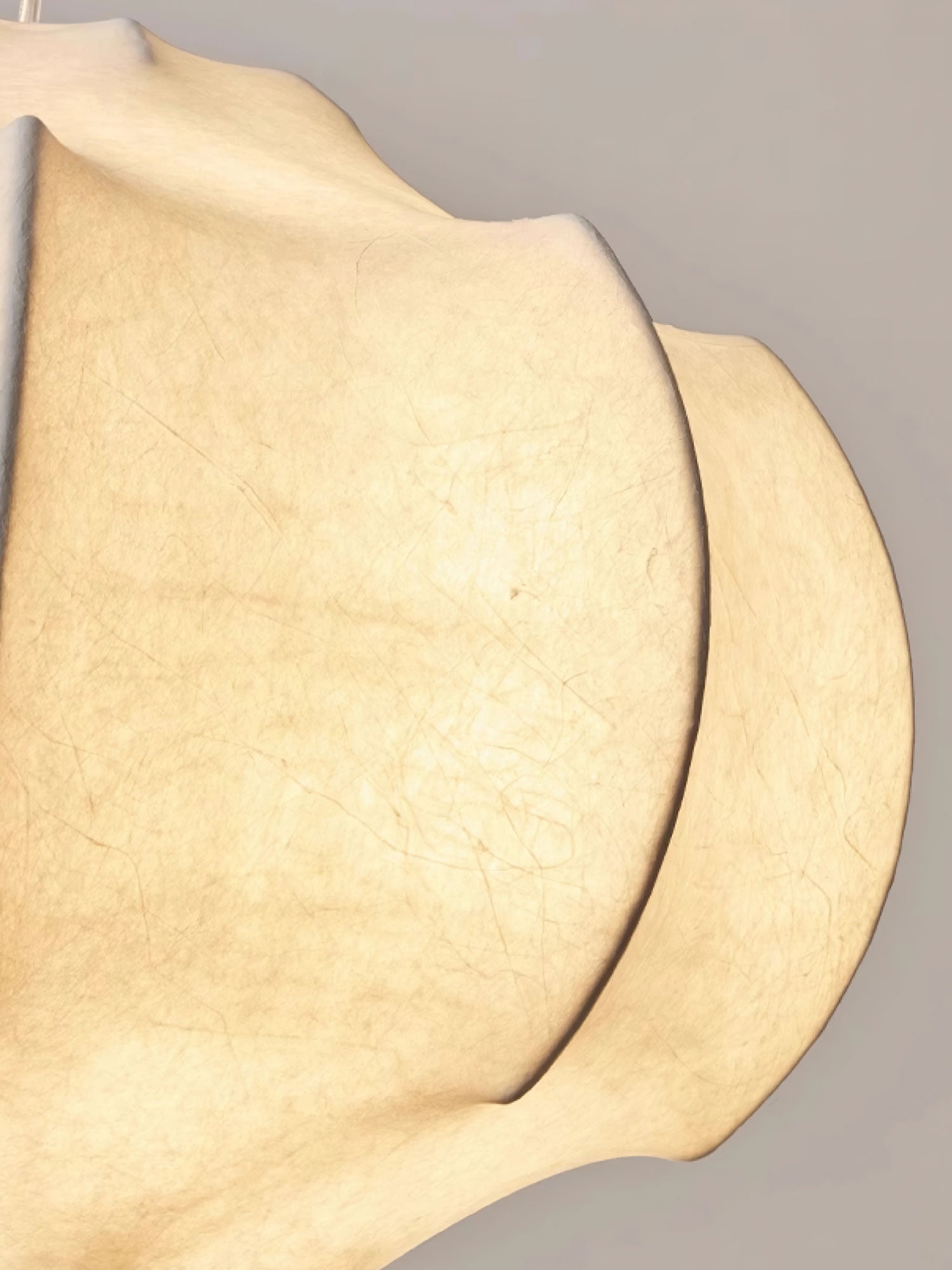 silken-lotus-pendant-lamp-anzaz--8