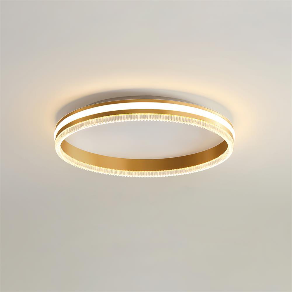 simple-acrylic-ring-ceiling-light-anzaz--5