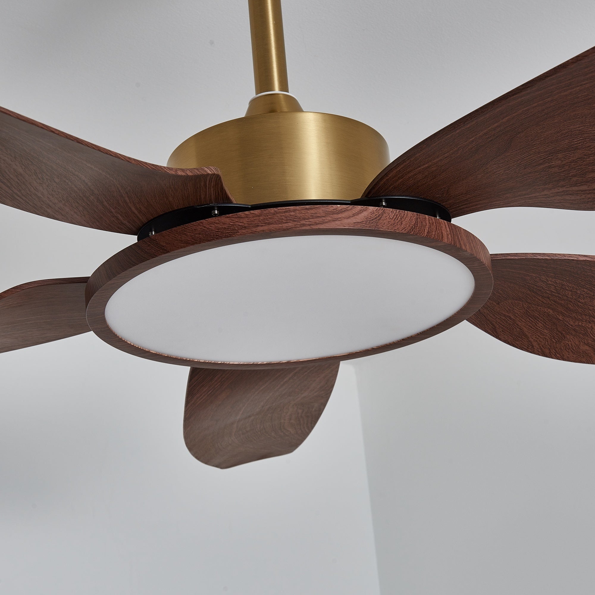sirocco-breeze-ceiling-fan-light-anzaz--15