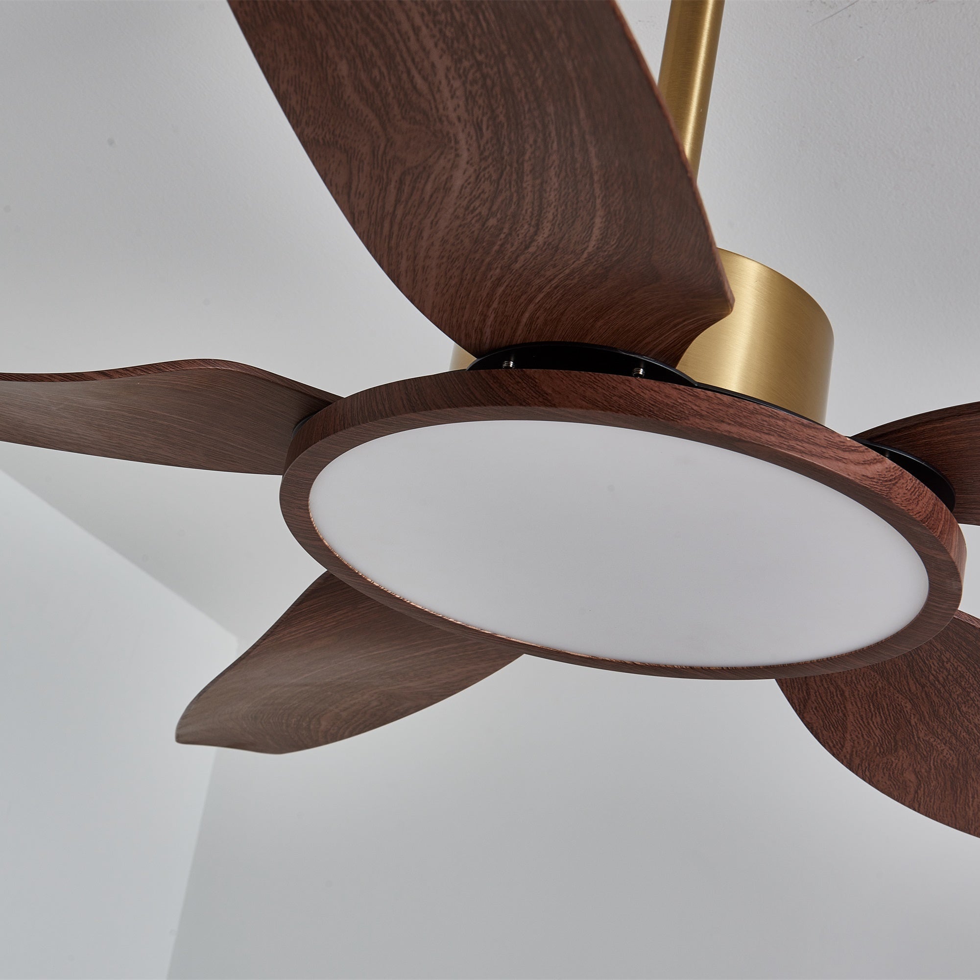sirocco-breeze-ceiling-fan-light-anzaz--19