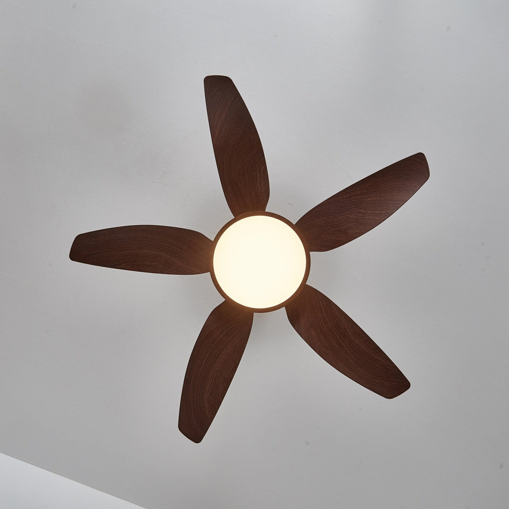 sirocco-breeze-ceiling-fan-light-anzaz--21