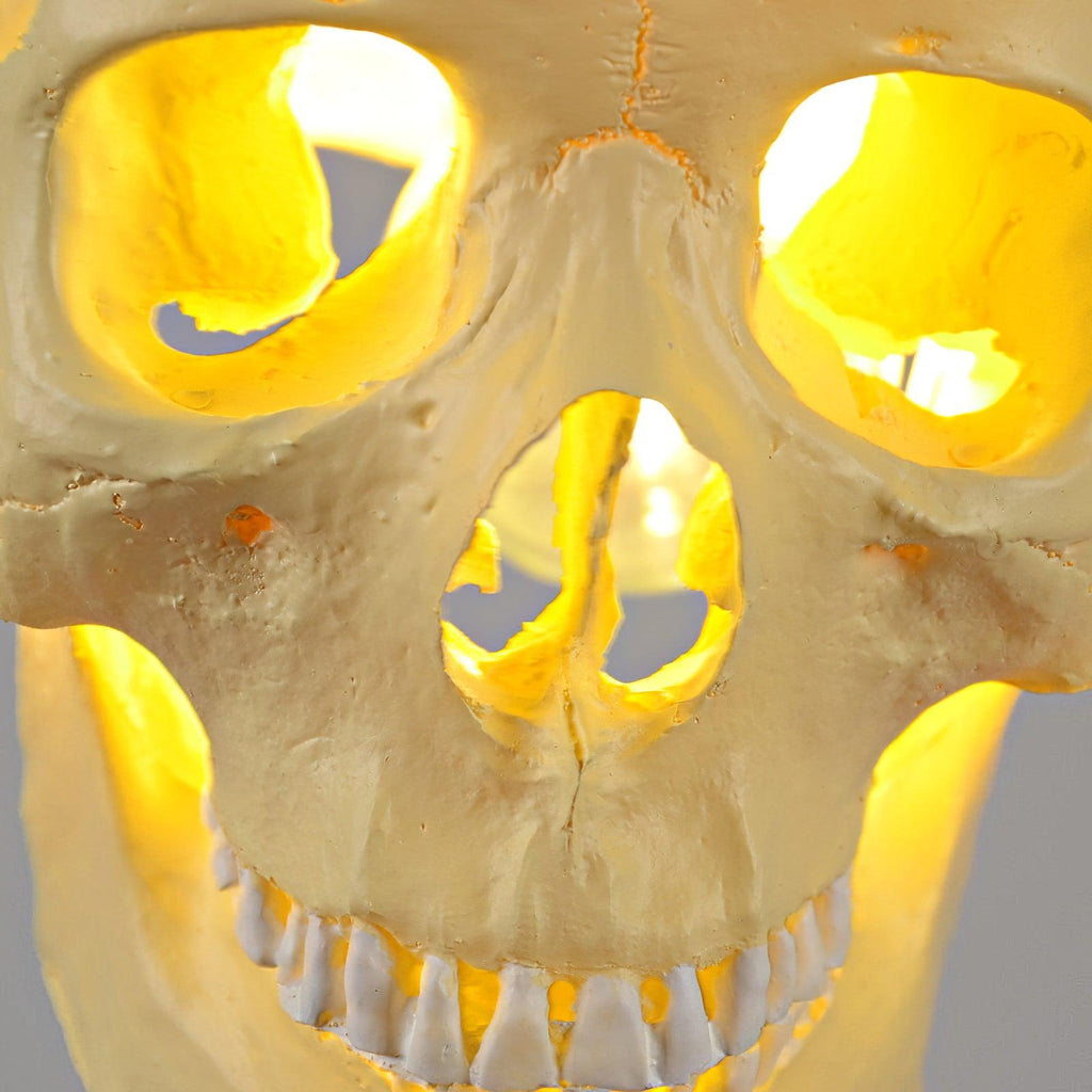 skull-pendant-light-anzaz--19