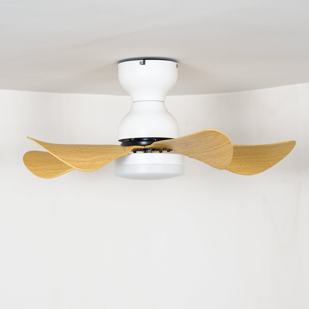 small-arilia-29-ceiling-fan-light-anzaz--7