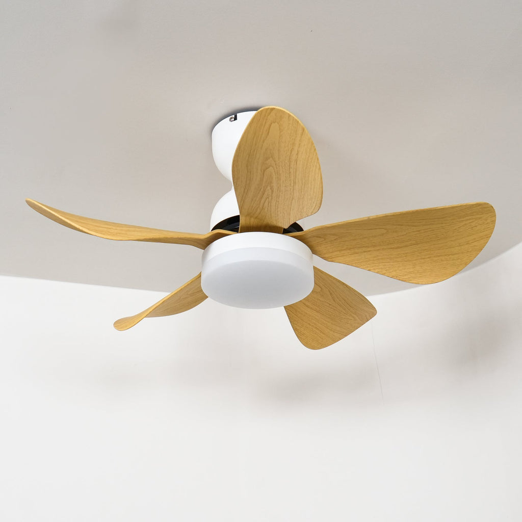 small-arilia-29-ceiling-fan-light-anzaz--8
