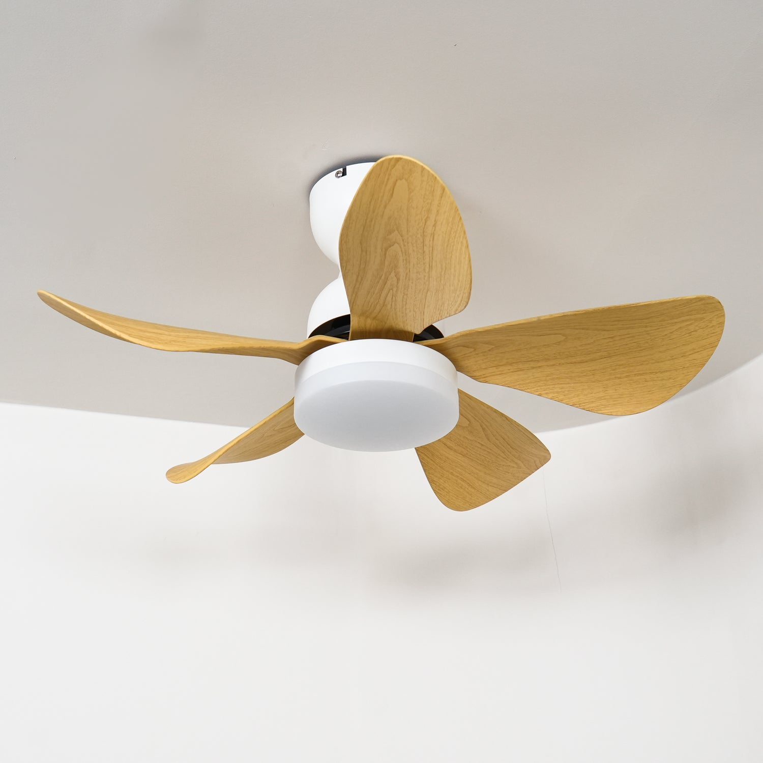 small-arilia-29-ceiling-fan-light-anzaz--8
