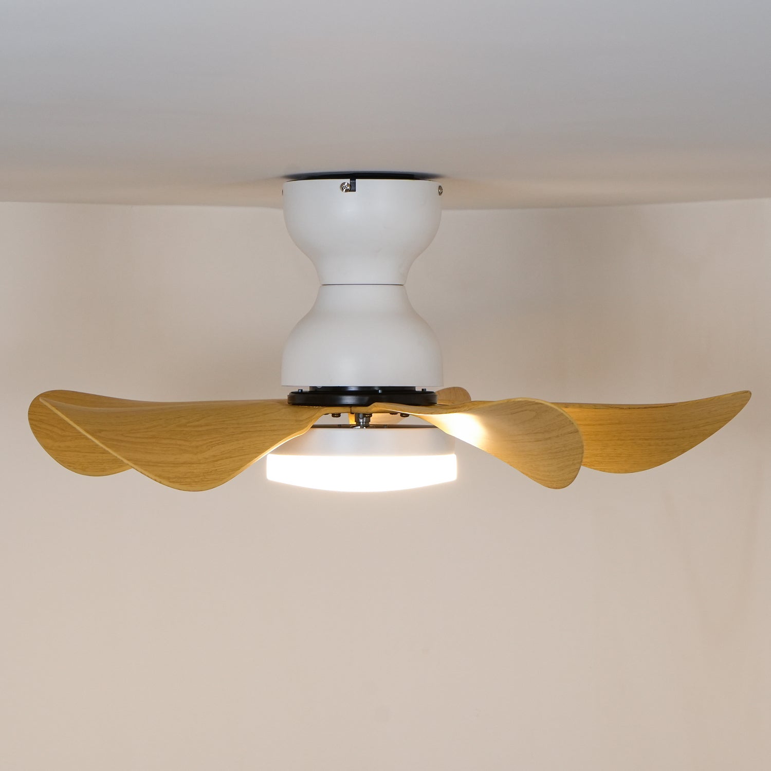 small-arilia-29-ceiling-fan-light-anzaz--10