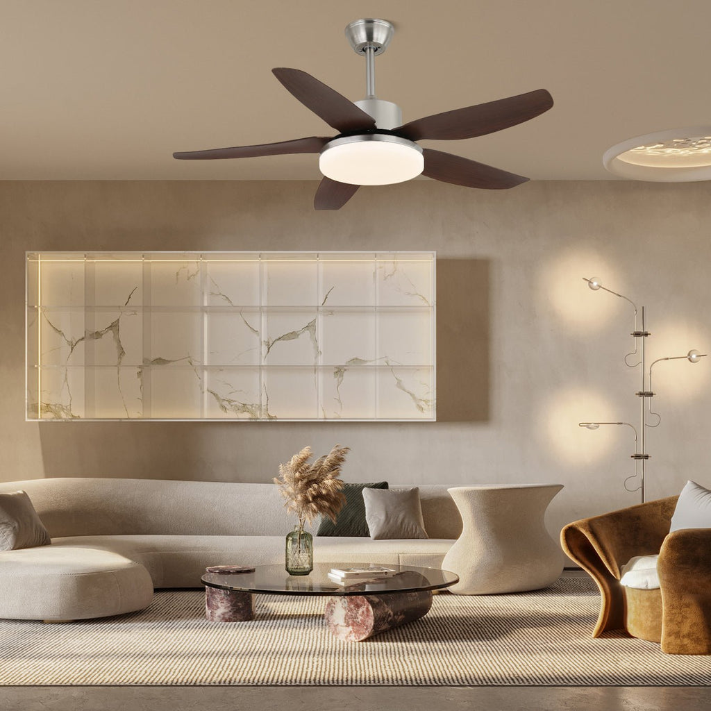 sofia-ceiling-fan-light-anzaz--3