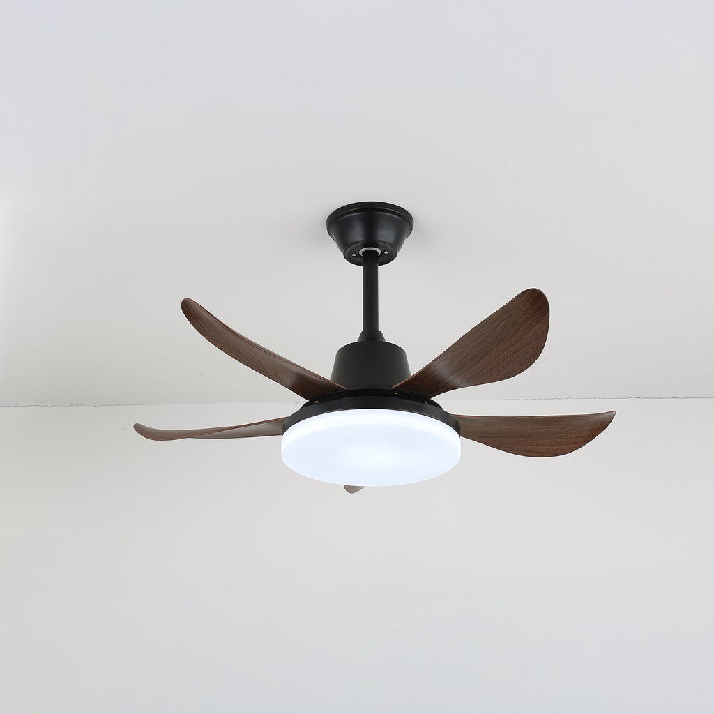 lucas-ceiling-fan-light-anzaz--5