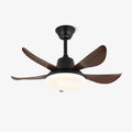 lucas-ceiling-fan-light-anzaz--4