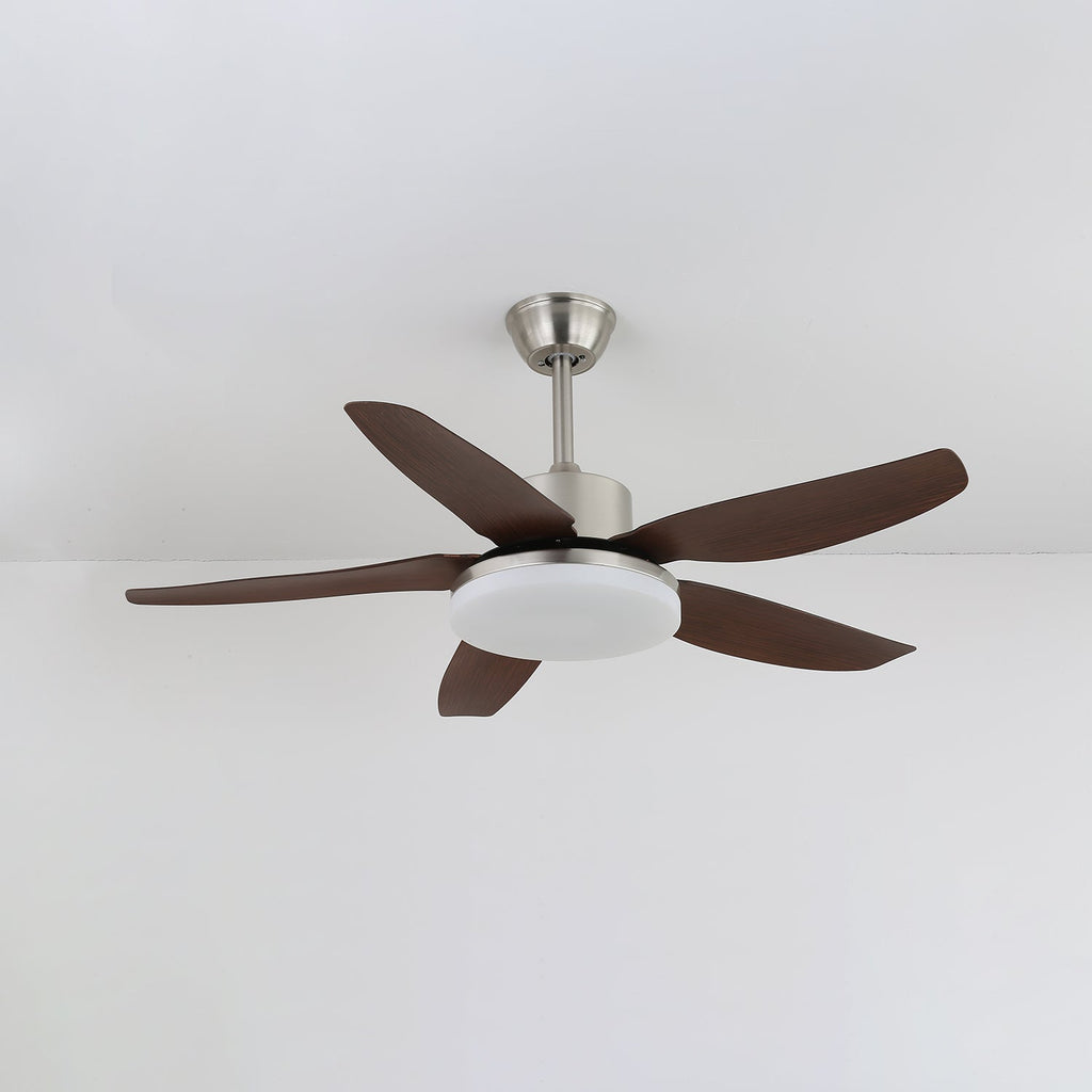 sofia-ceiling-fan-light-anzaz--4