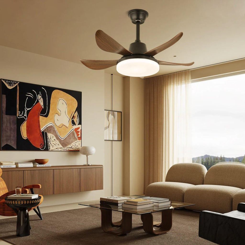 lucas-ceiling-fan-light-anzaz--3