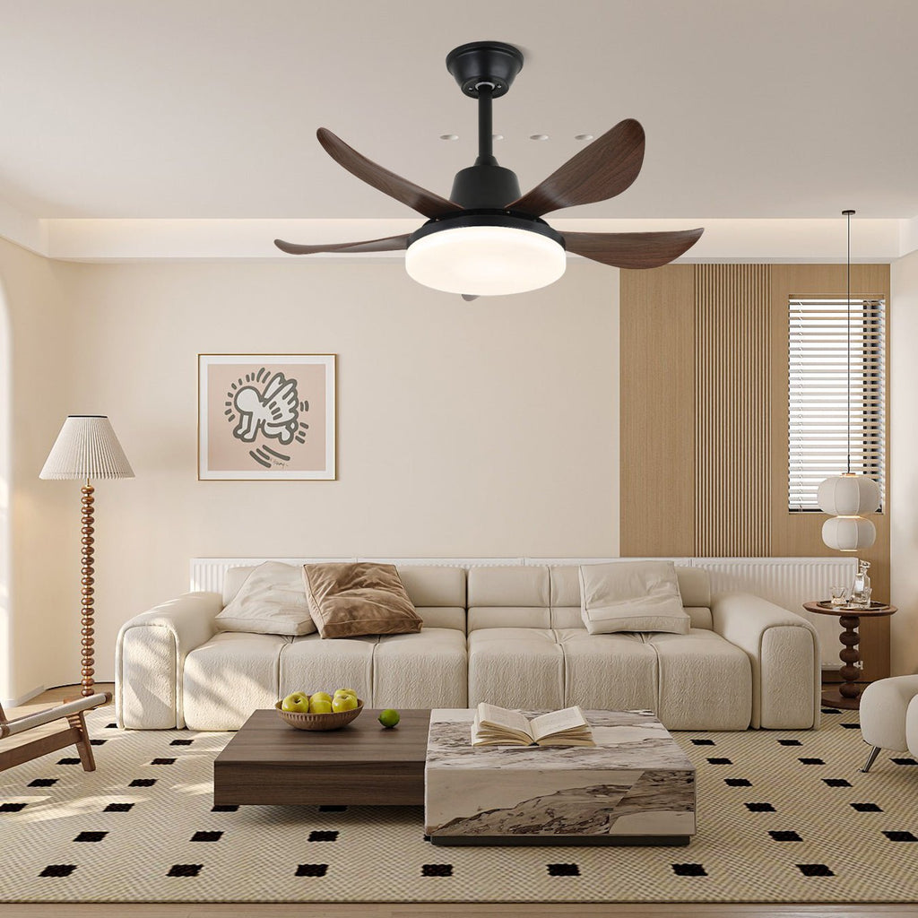 lucas-ceiling-fan-light-anzaz--2