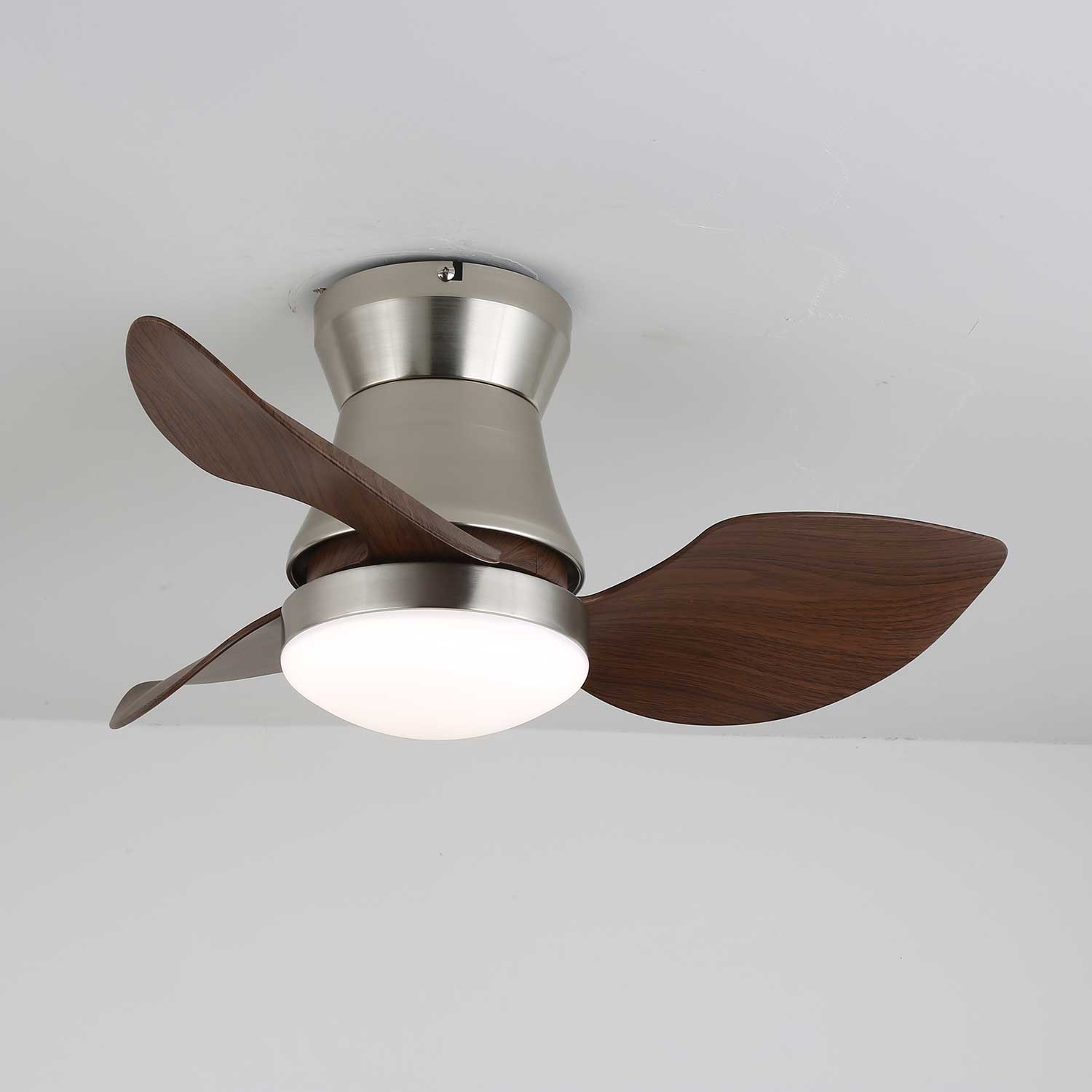 solano-bloom-ceiling-fan-light-anzaz--3