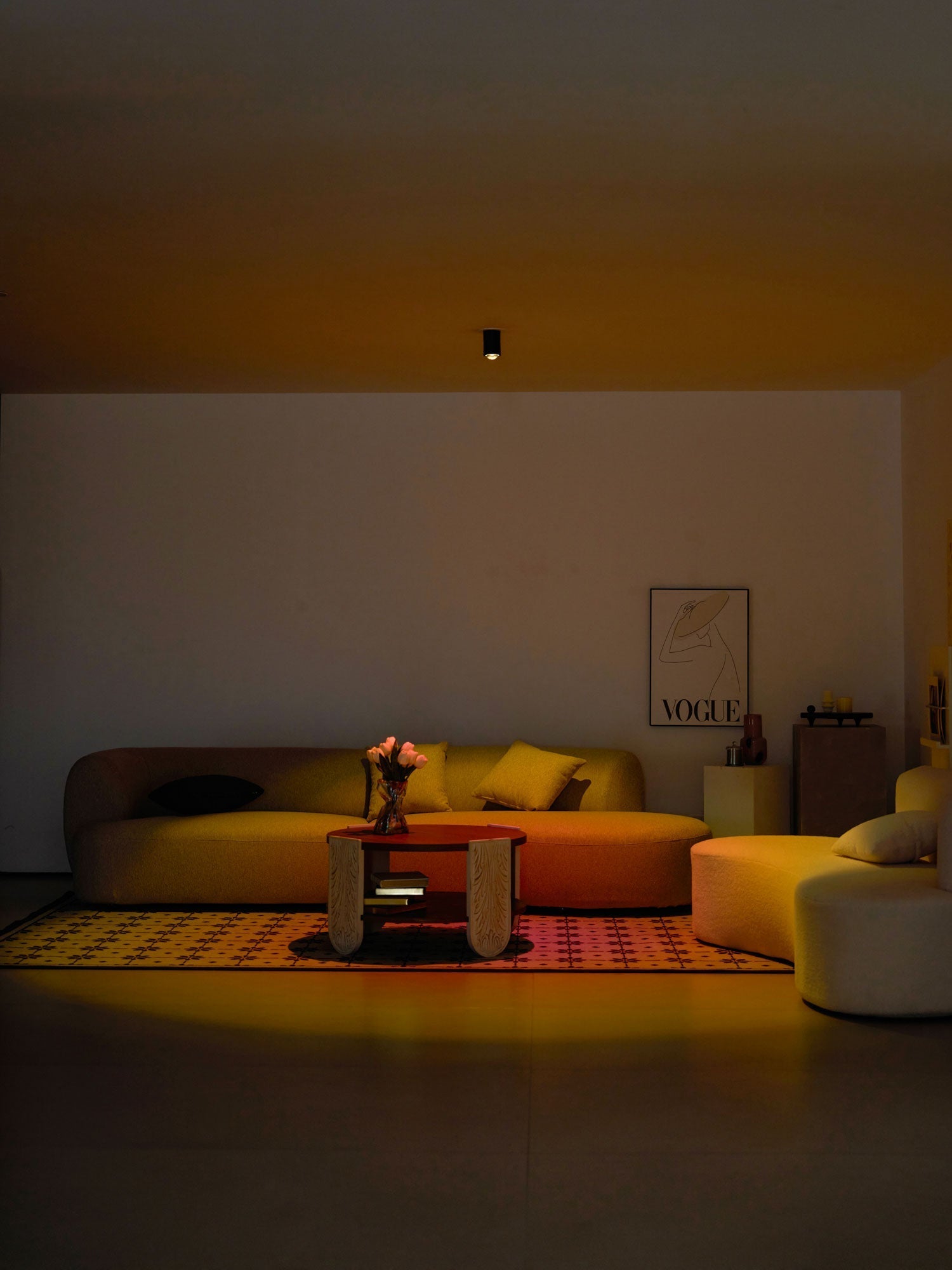 sunset-adjustable-led-spotlight-anzaz--19