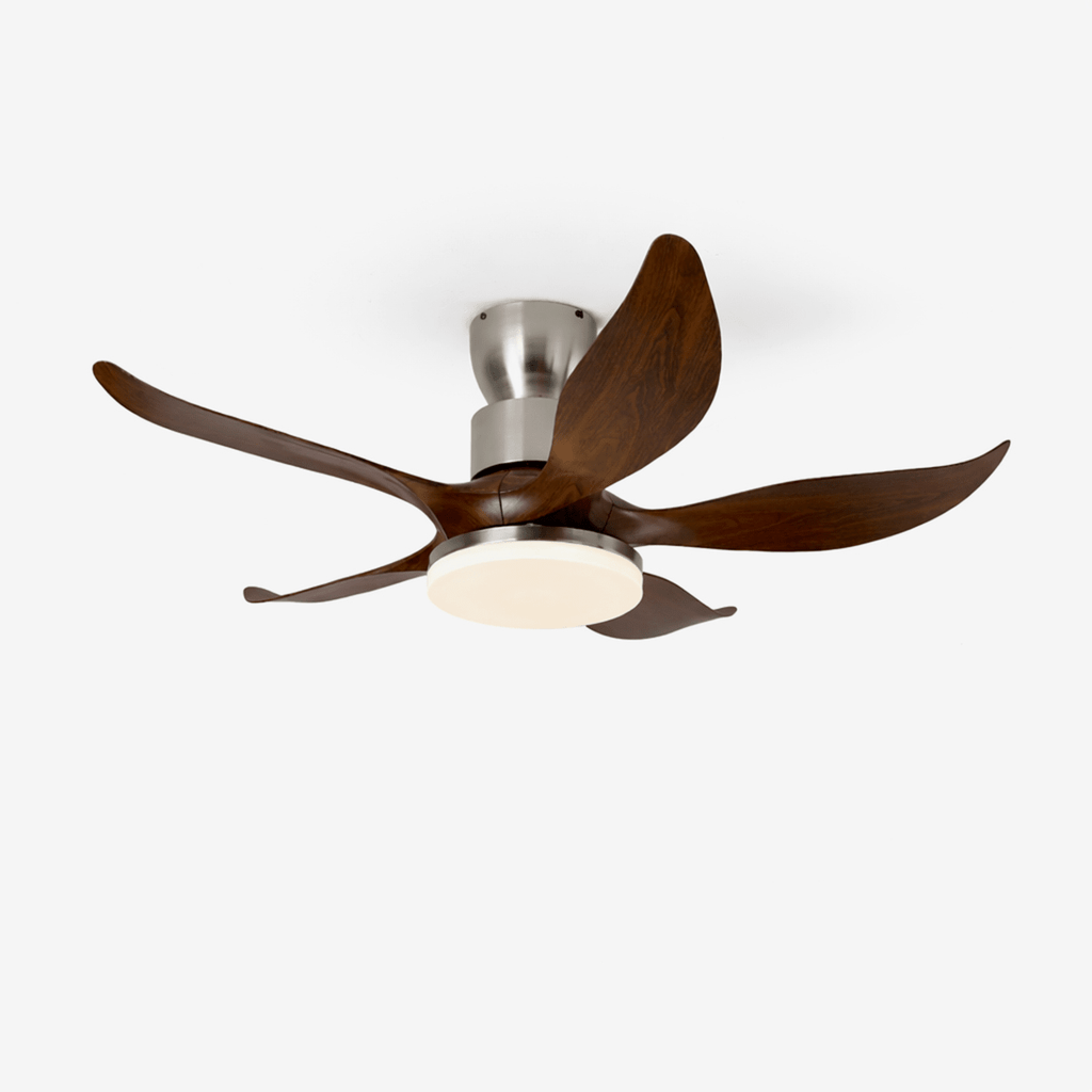 sylvara-ceiling-fan-light-anzaz-Walnut Color & Nickel-1
