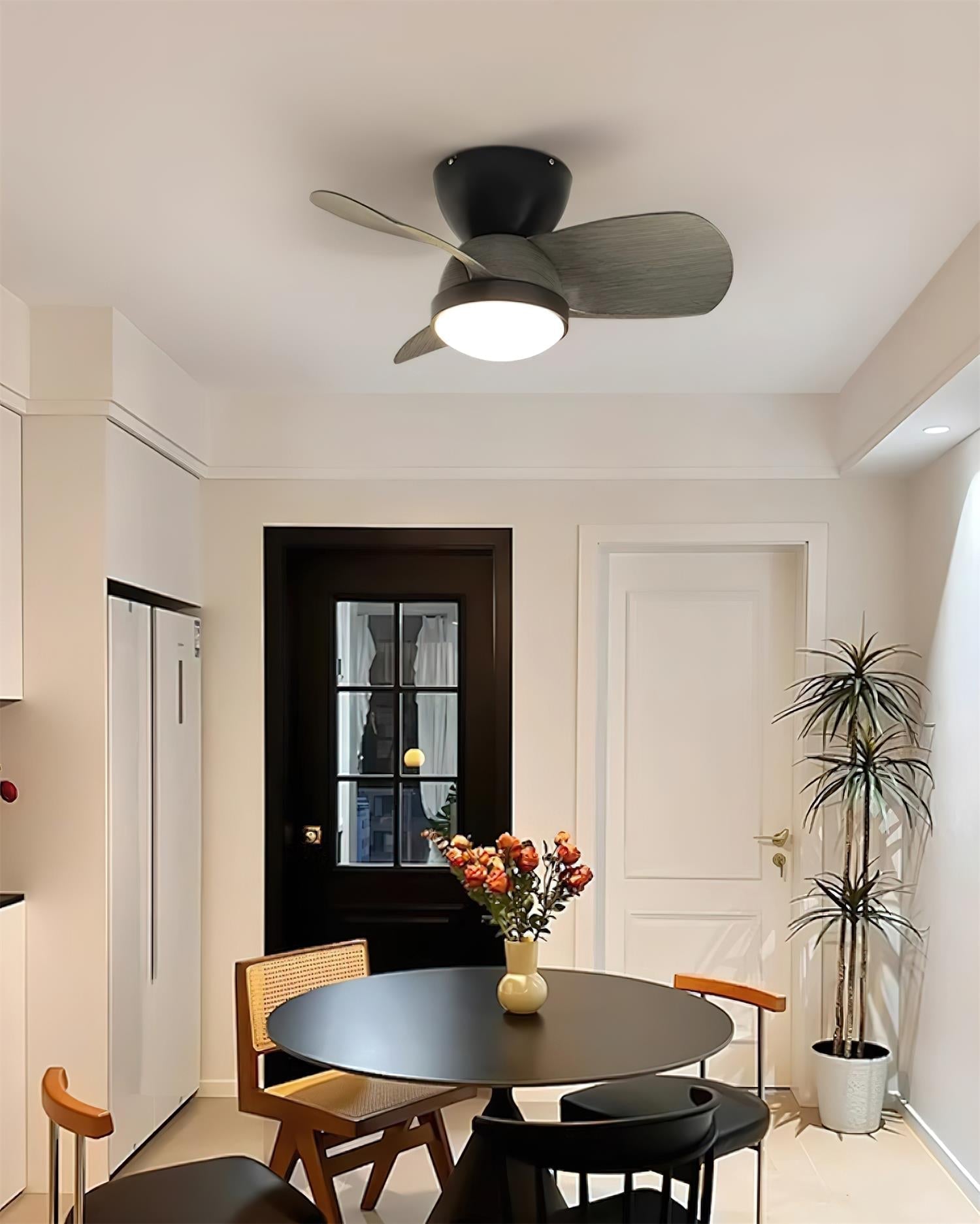talaya-ceiling-fan-light-anzaz--14